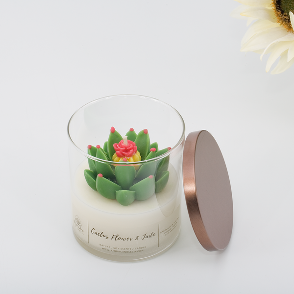 Cactus Flower with Metal lid & Gift Box