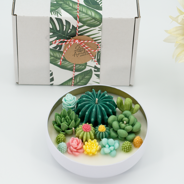Cactus Terrarium Candle & Gift Box
