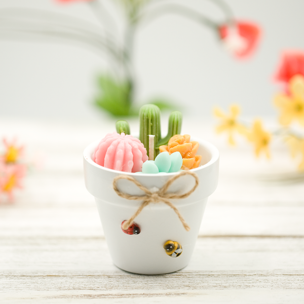 birthday candle, cactus candle, mini cactus decor, birthday gift for her, birthday gift for mom, birthday gift for best friend, terrarium candle, cactus soy candle, cute candle, plant candle, succulent candle